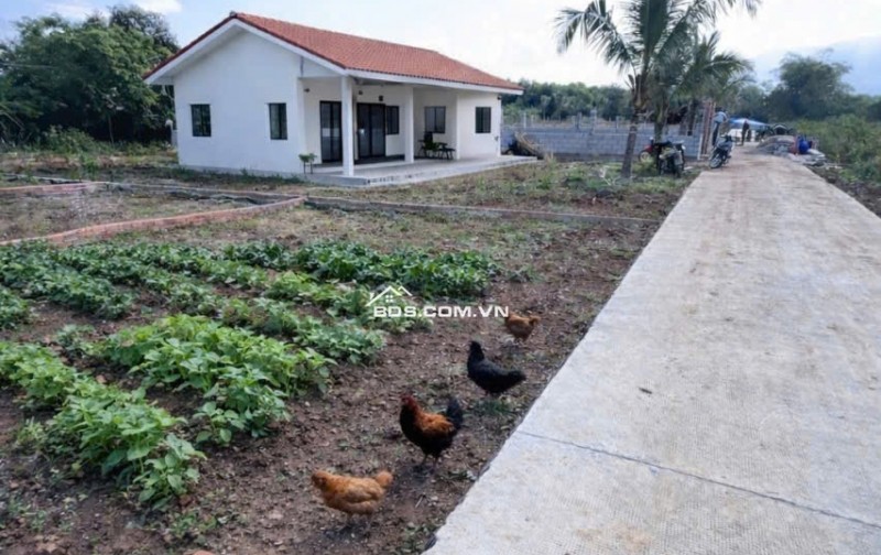 Đất phường Long khánh